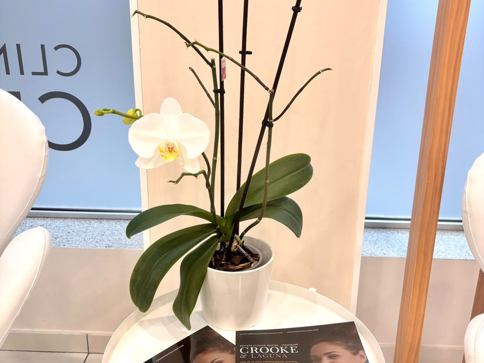 Detalle de la recepción de la clínica de Andújar